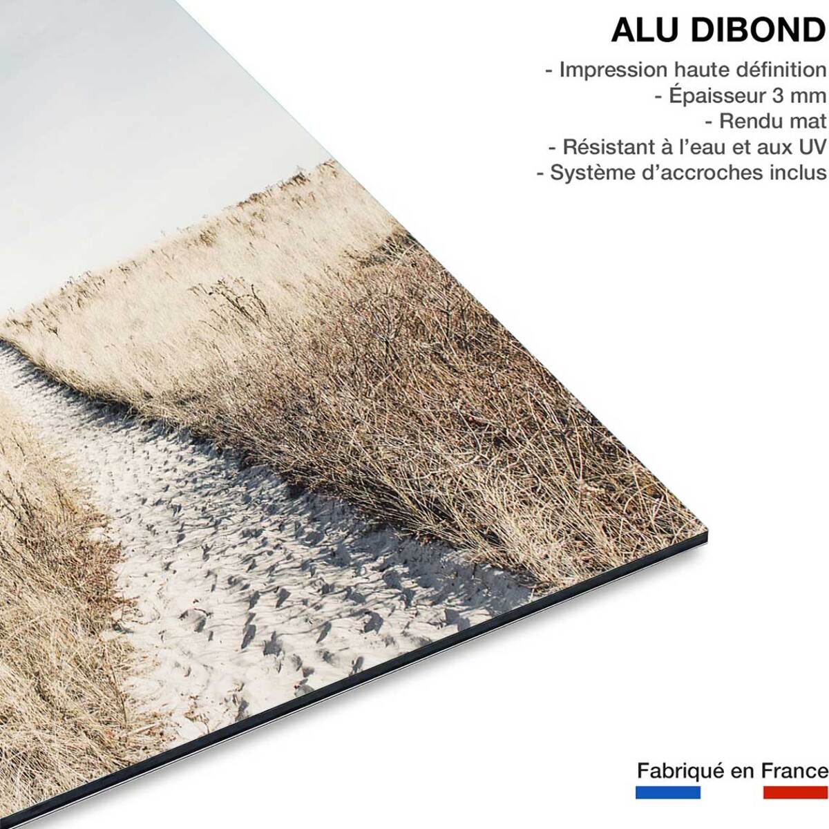 Tableau mer chemin dans la dune  Tableau alu Dibond