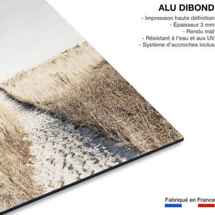 Tableau mer chemin dans la dune  Tableau alu Dibond