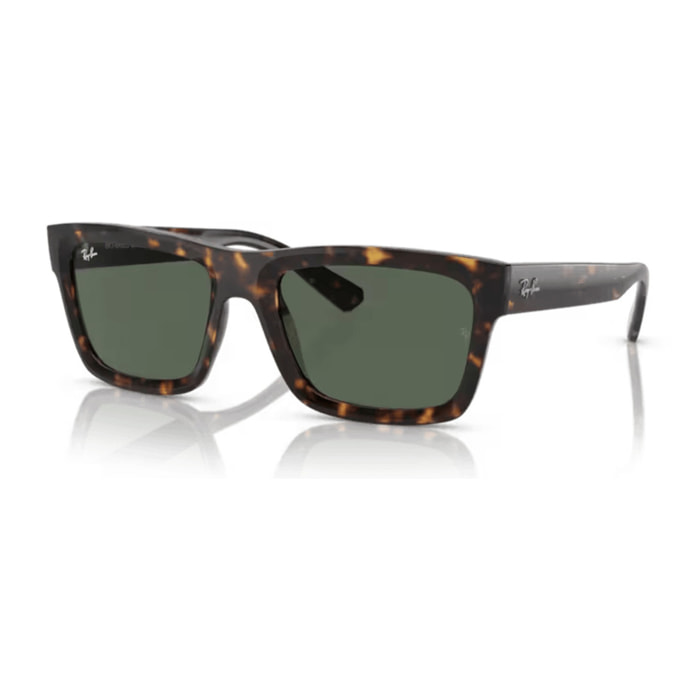 GAFAS DE SOL RAY BAN WARREN 0RB4396 135971