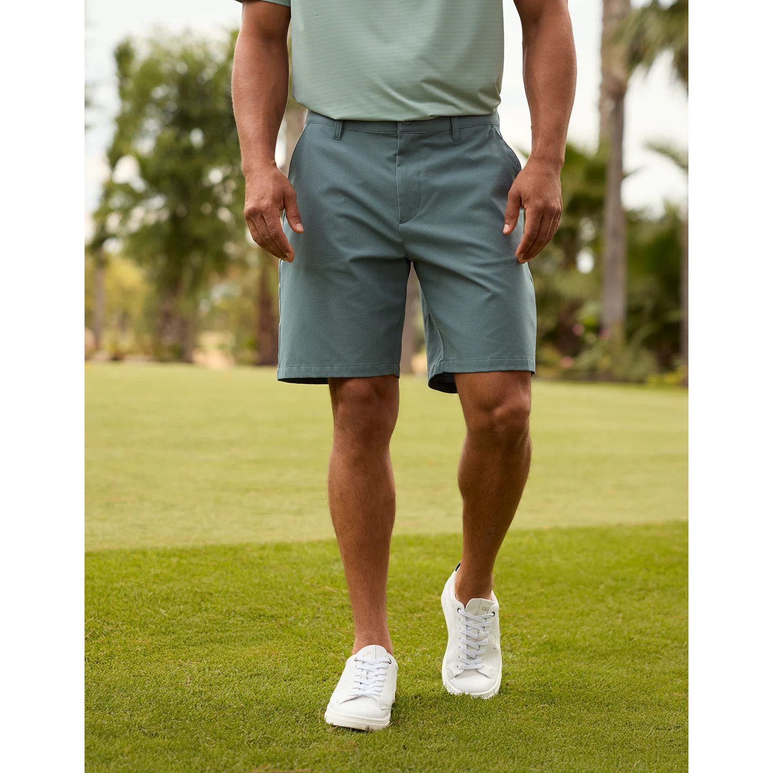 Bermuda Verde - Pantland