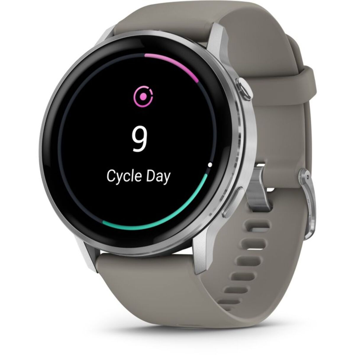 Montre sport GARMIN Venu 4 Noir/Silver Silicone Gris 45mm