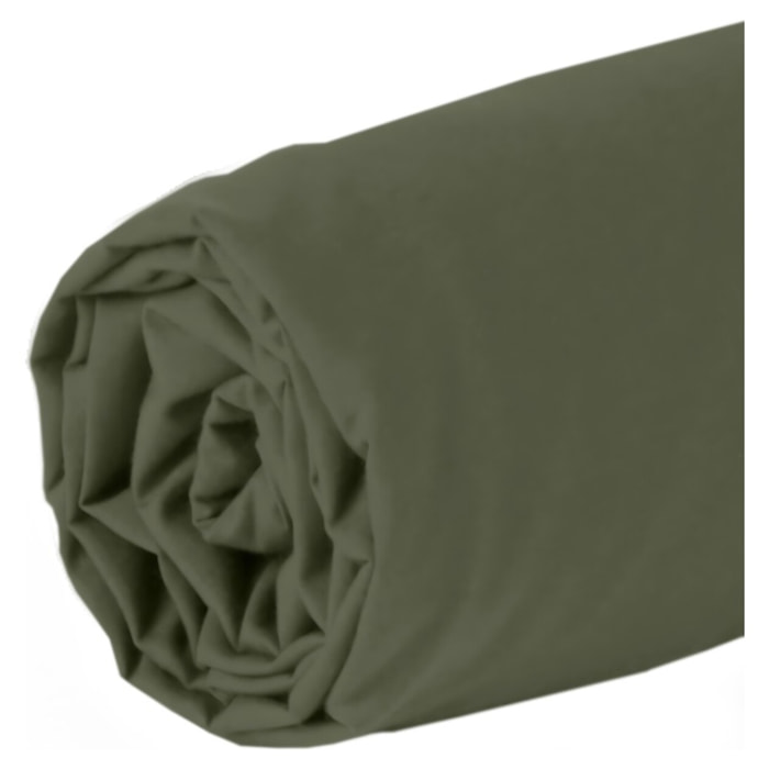 DRAP HOUSSE 2 PERS 180x200 percale de Coton - PERCALE KAKI