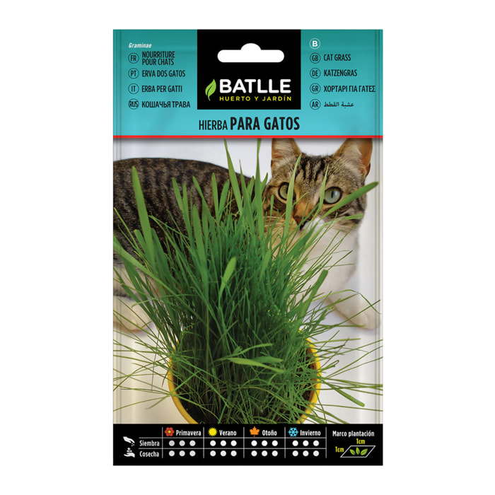 Semillas de Hierba para Gatos Batlle