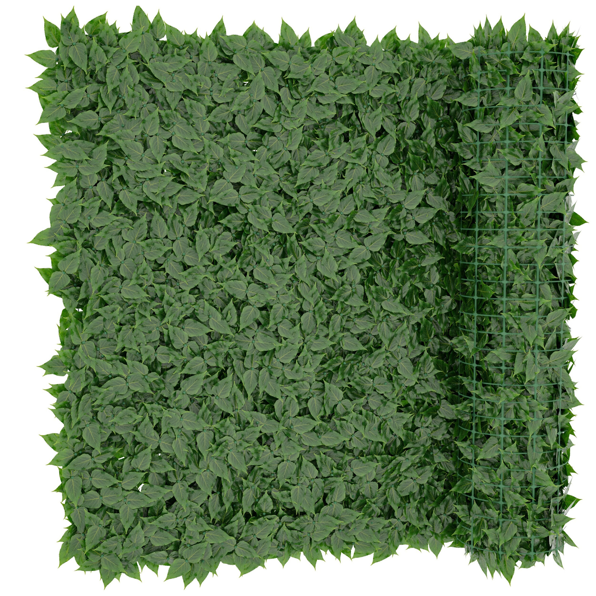 Siepe Finta Artificiale Ultra Coprente Anticaduta Rotolo Rete Frangivista Frangivento Ornamentale Foglia Edera Sintetica Per Ringhiera 1x6 mt