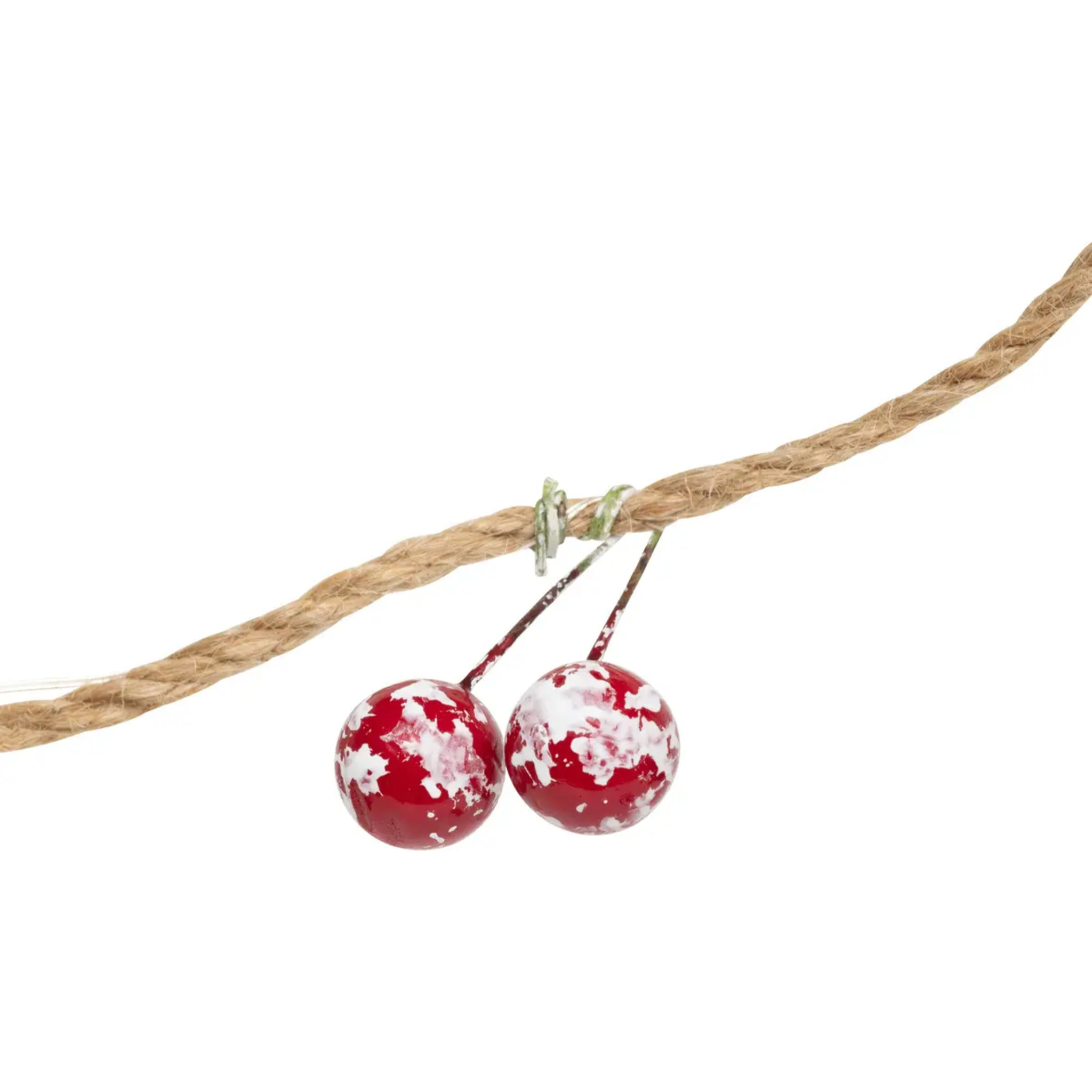 GD INT NAT PP BAIE 20LBC L220P