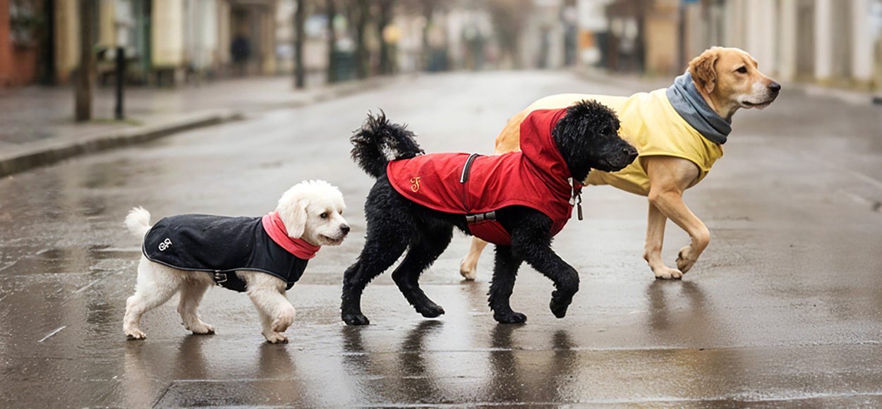 FERRIBIELLA en promo chez VEEPEE