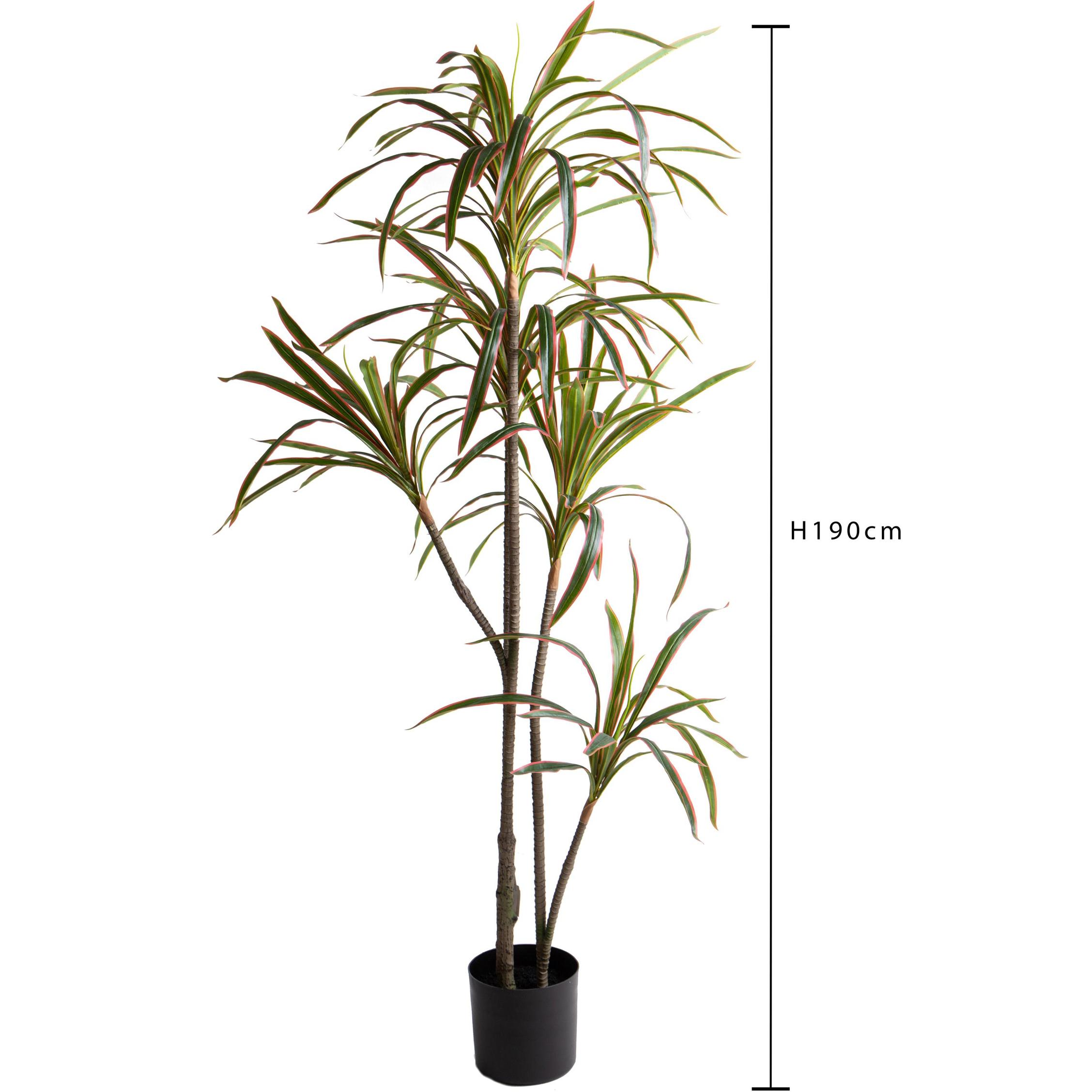 Dracena Marginata Con Vaso 190 Cm - Pezzi 1 - 90X190X90cm - Colore: Verde - Bianchi Dino - Piante Artificiali