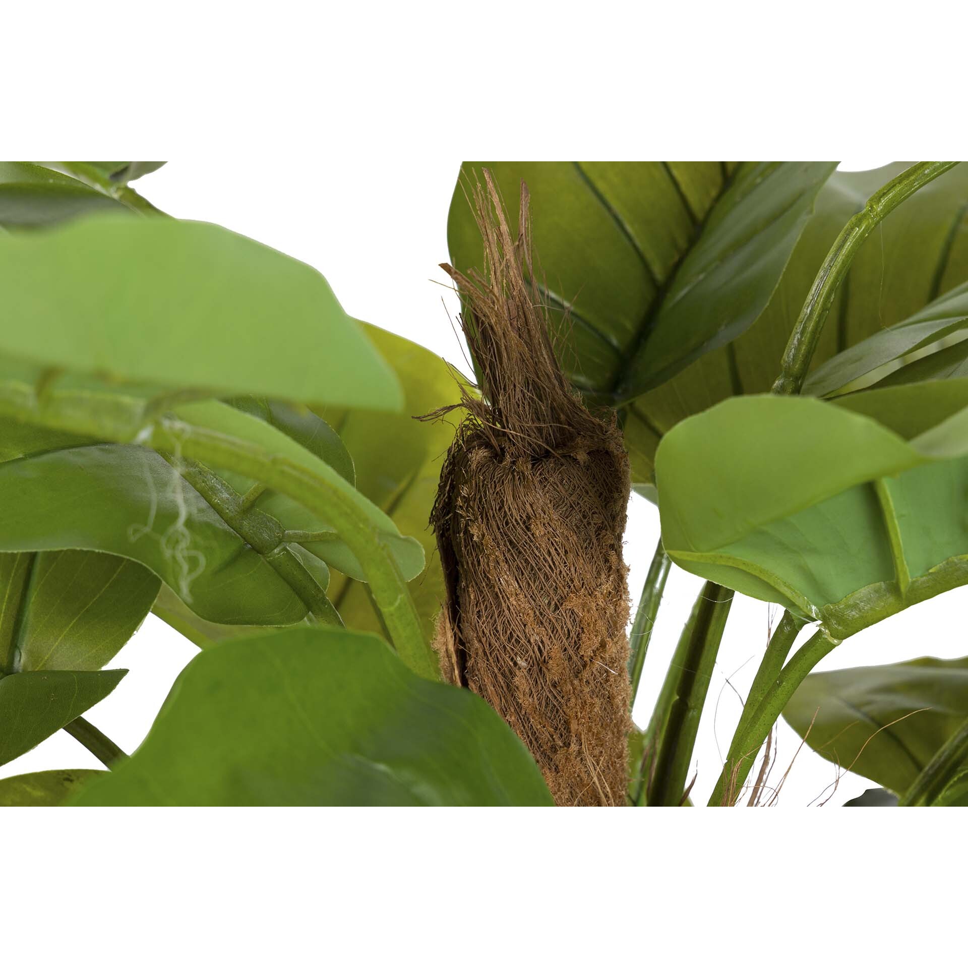 Planta Artificial Rhadhidophora Aureum 65x65x140 Cm