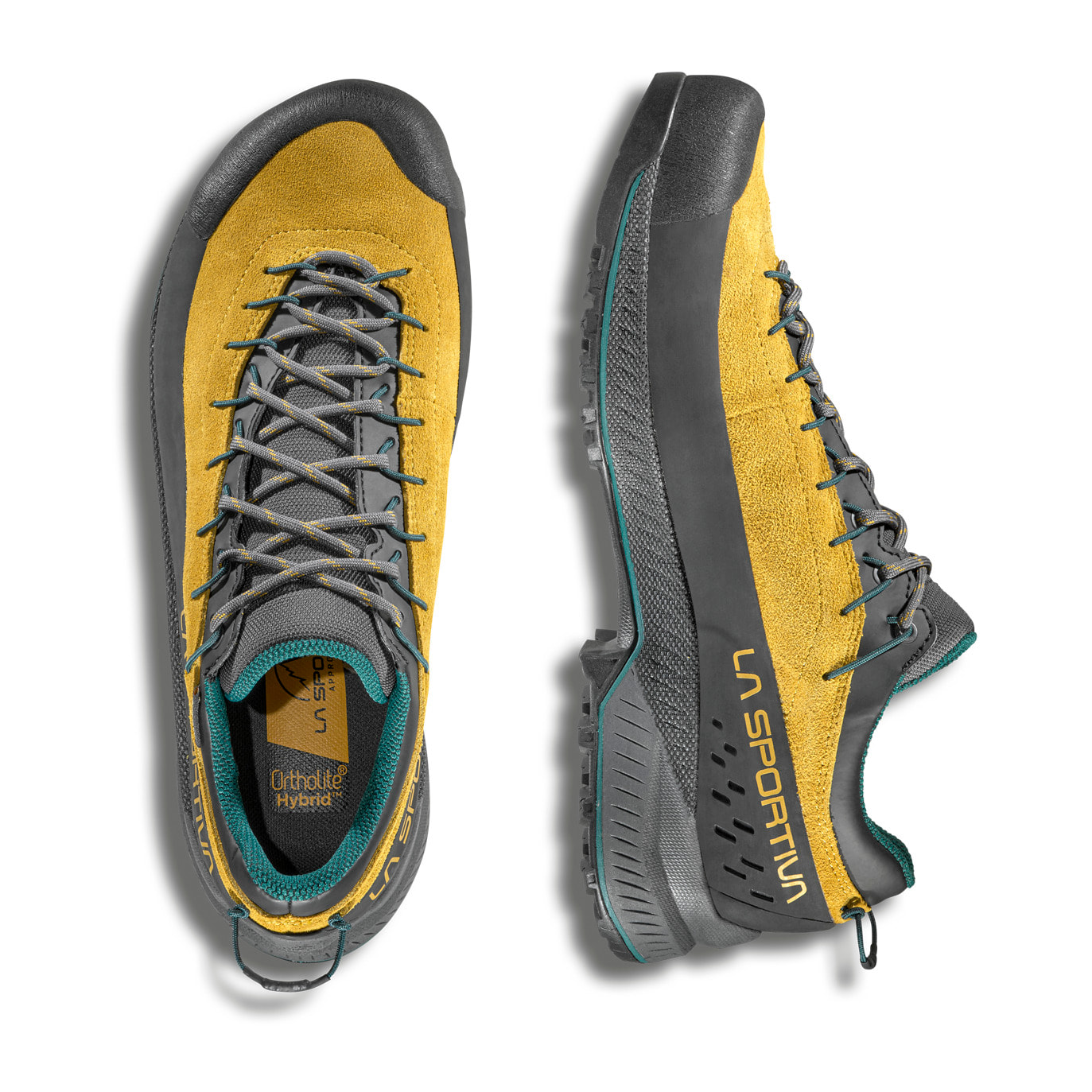 TX4 Evo Goretex Hombre Zapatillas Trekking