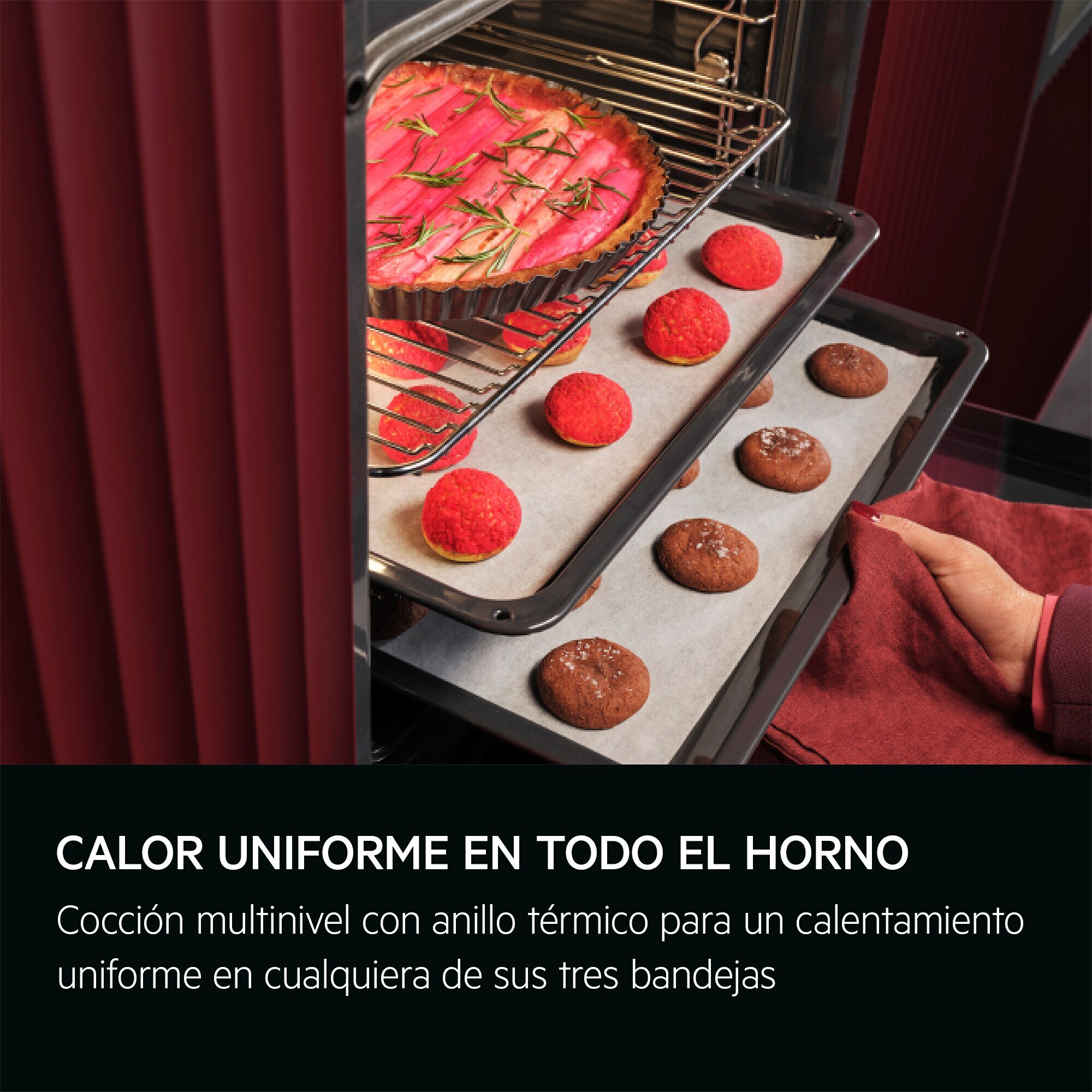 AEG Horno multifunción Serie 5000 SurroundCook con Display LED OU5AB21CM