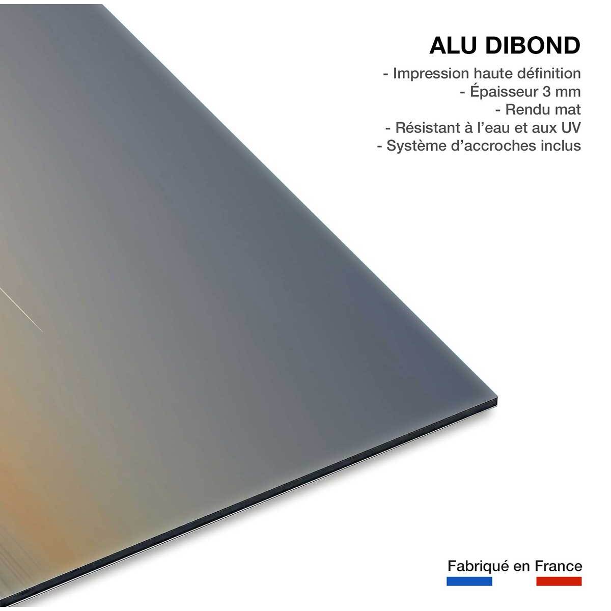 Tableau animaux flamands bleus Tableau alu Dibond