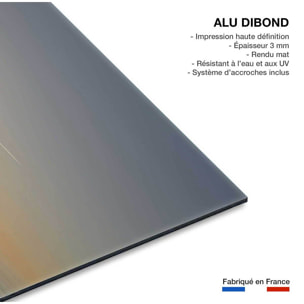 Tableau animaux flamands bleus Tableau alu Dibond