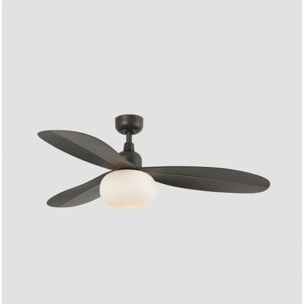 PALMA M Ventilatore a soffitto  marrone IP44 E27