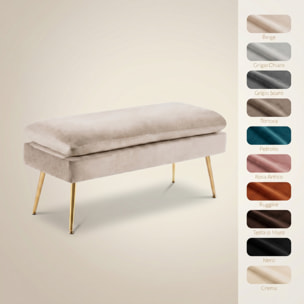 Panca Contenitore Imbottita in Effetto Velluto con Ampio Vano Portaoggetti, Seduta Confortevole e Gambe in Acciaio, Design Moderno per Camera da Letto, Ingresso e Soggiorno