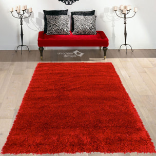 Tapis fait main Shaggy longues mèches Hago, 45 mm