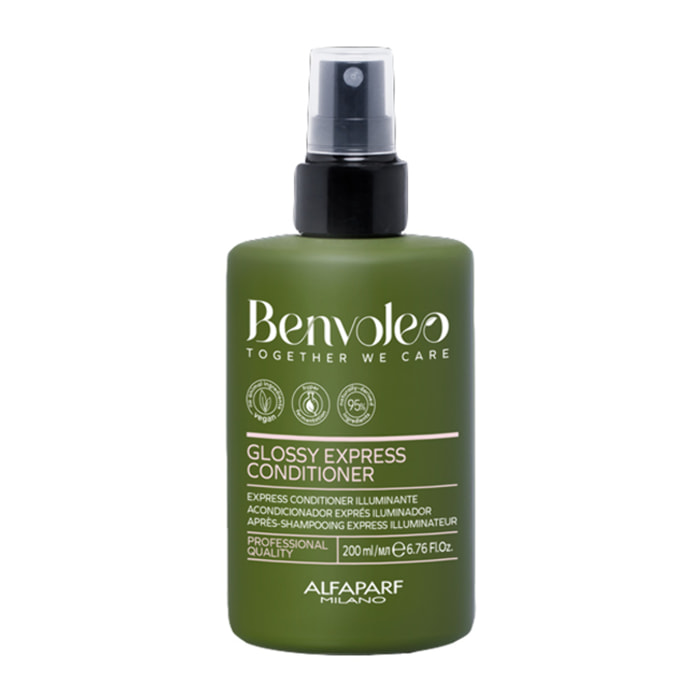 ALFAPARF MILANO Benvoleo Glossy Express Conditioner 200ml