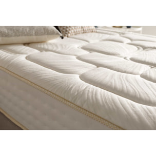 Matelas Regal Prime, 27 cm, 1 place- Moonia