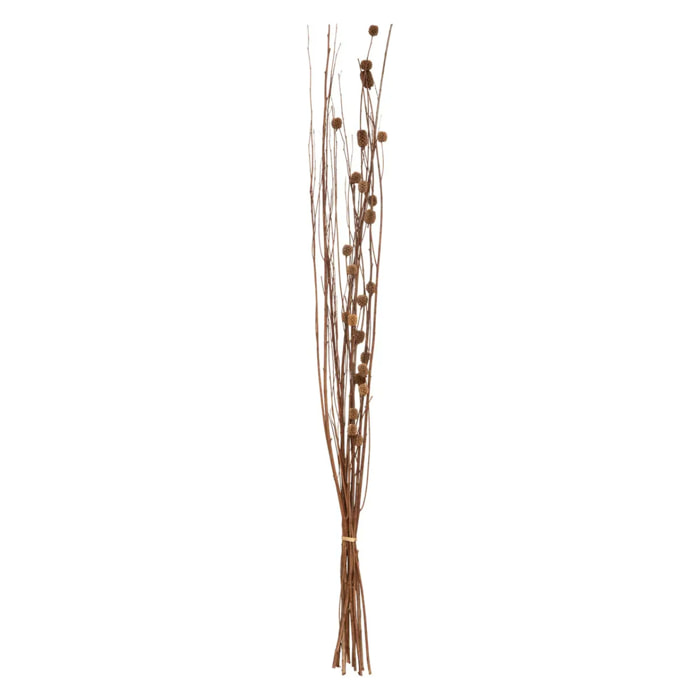 Fleurs séchées naturelles H100cm
