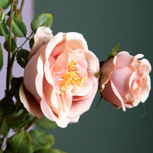 Rosa romantica - Pezzi 2 - Colore:Rosa - Bianchi Dino