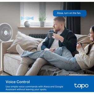 Prise connectée TP-LINK Tapo P100 Wifi