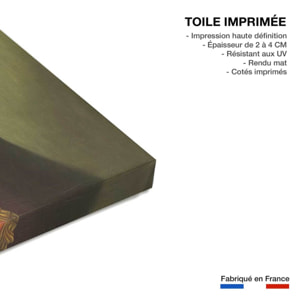 Tableau animaux abel le chat  Toile imprimée