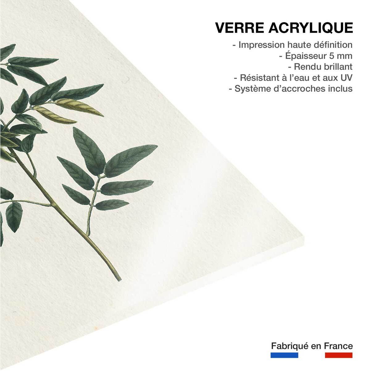 Tableau fleurs millepertuis illustré Tableau plexiglas