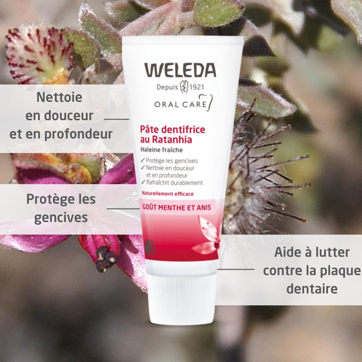 WELEDA - Pâte dentifrice au Ratanhia - 75 ml