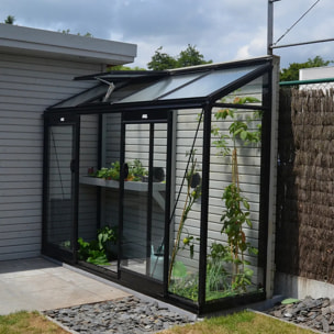Serre en verre Murale MICCOLO – 2,46 m²