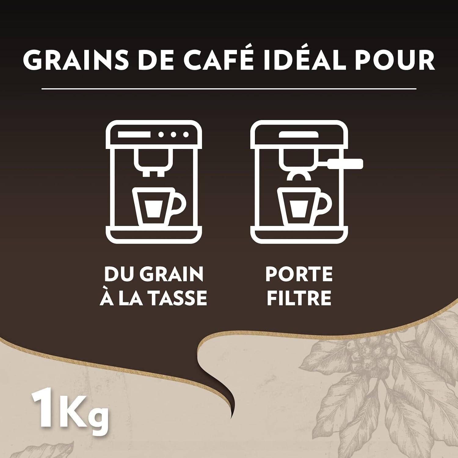 Café Grains Maestro Bio 1kg certifié Bio 100% arabica