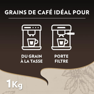 Café Grains Maestro Bio 1kg certifié Bio 100% arabica