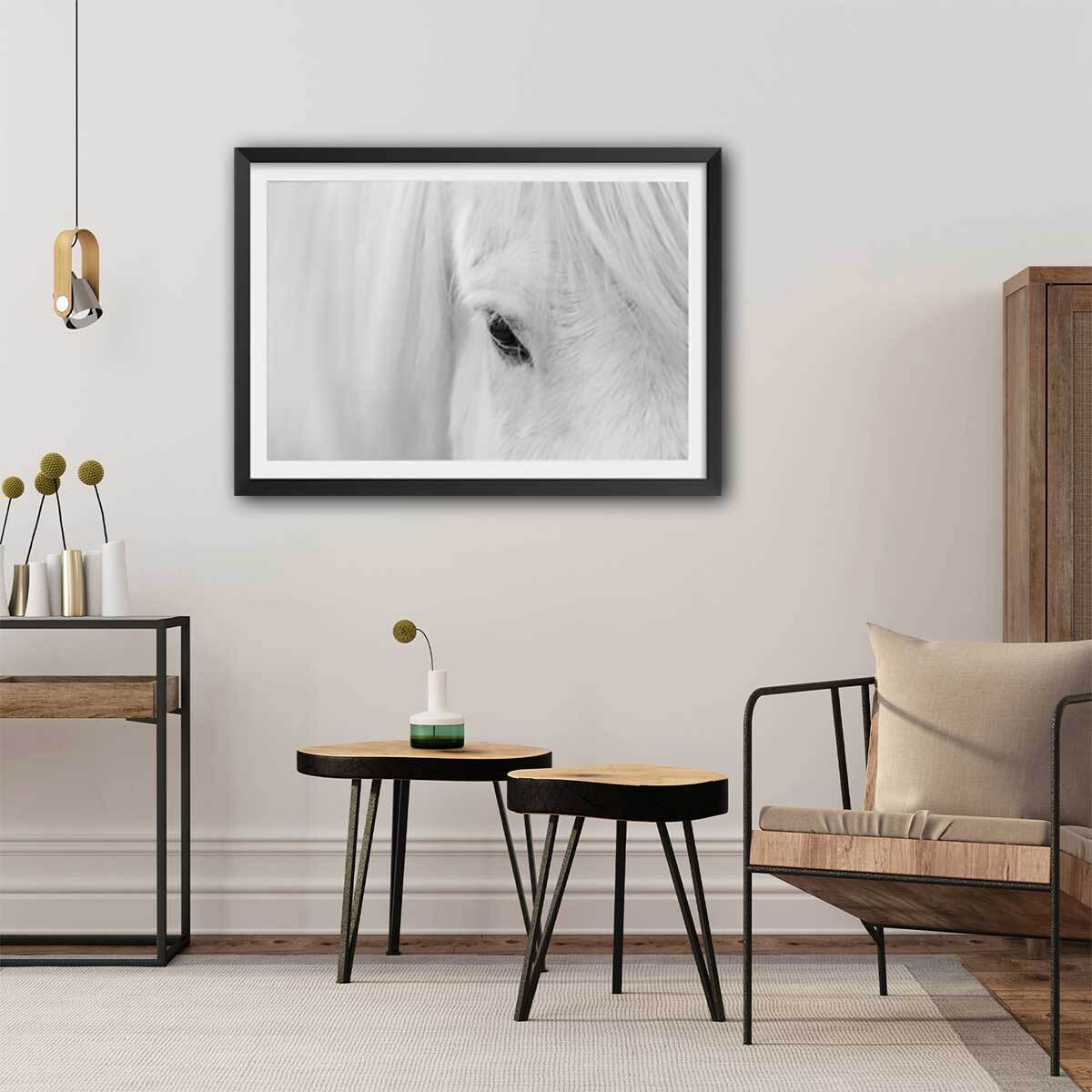 Poster cheval blanc d' islande Affiche seule