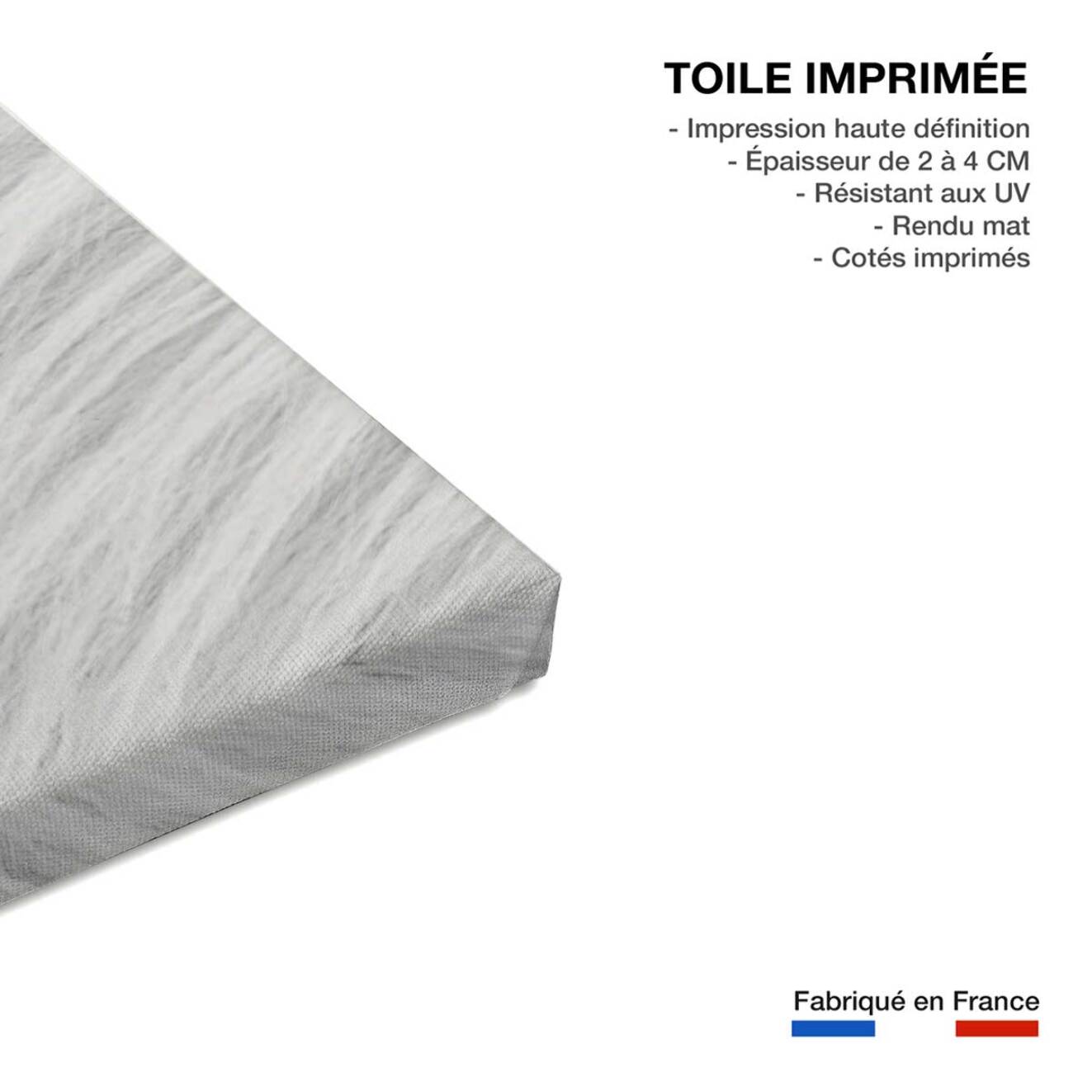 Tableau cheval blanc d' Islande Toile imprimée