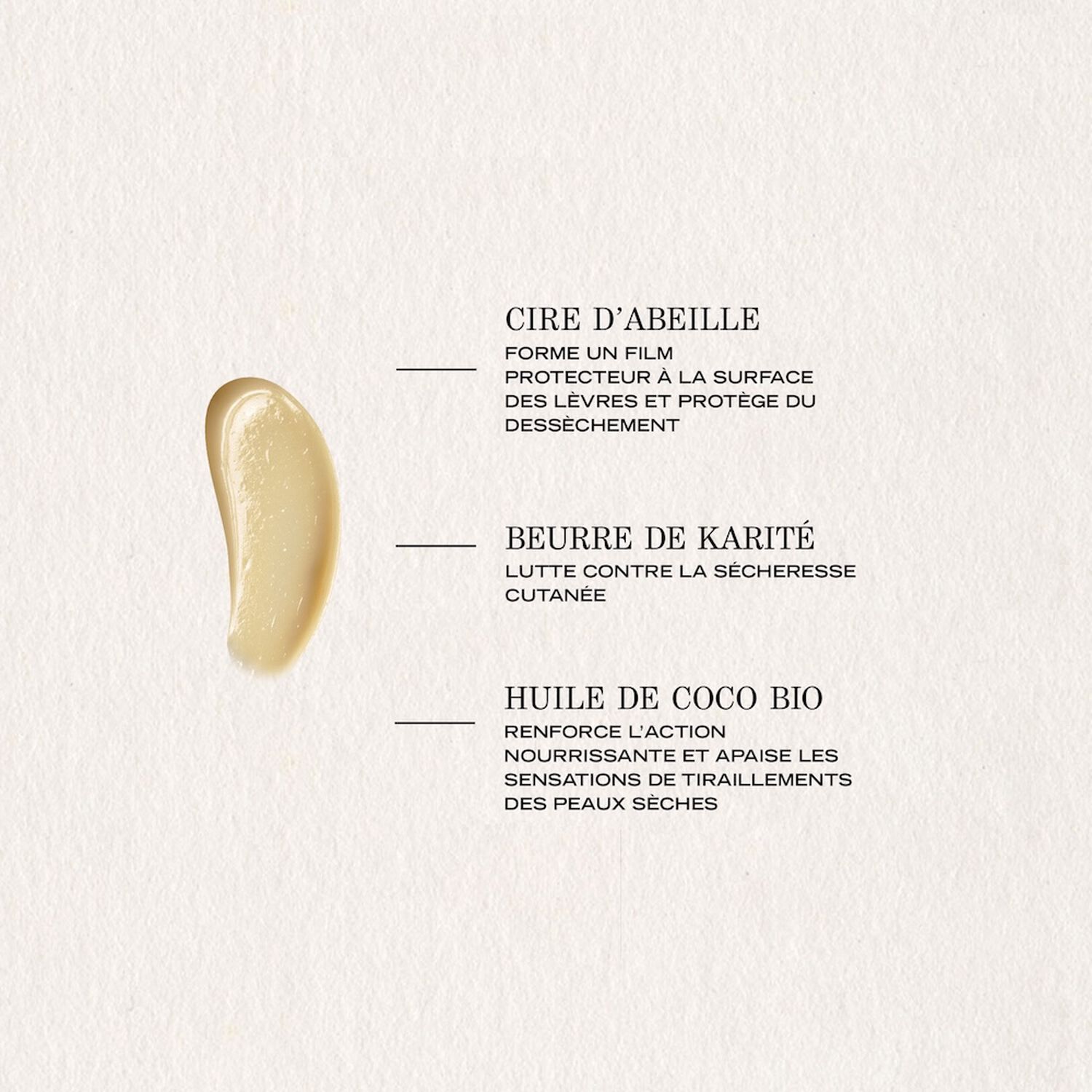 Nutricia - Baume Lèvres Cocoon