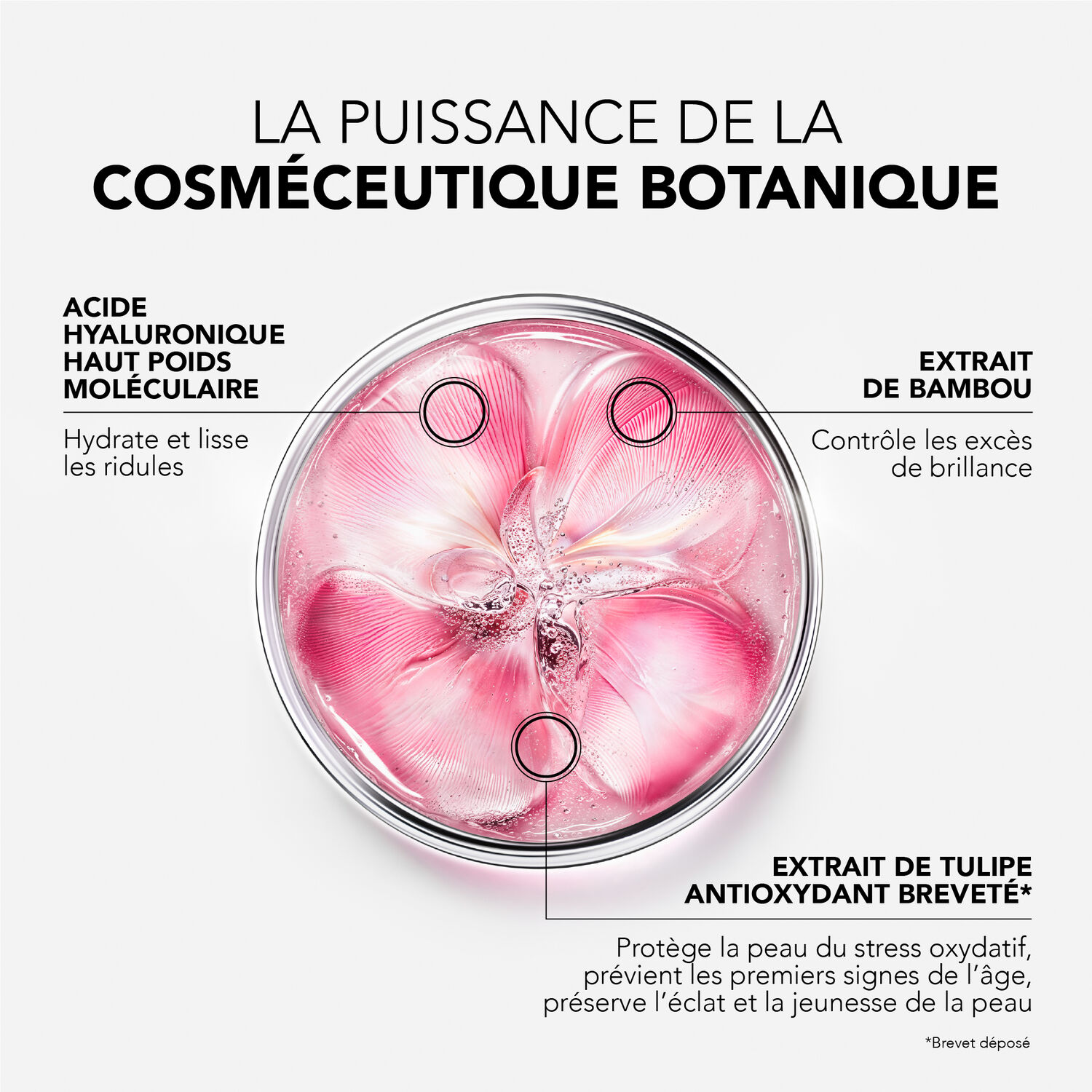 Glow Fresh - Le Gel-Crème Fraîcheur Éclat