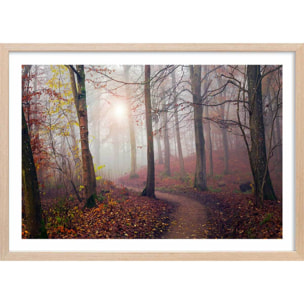 Affiche l'arbre et l'automne jaune Affiche + cadre en bois - Chêne