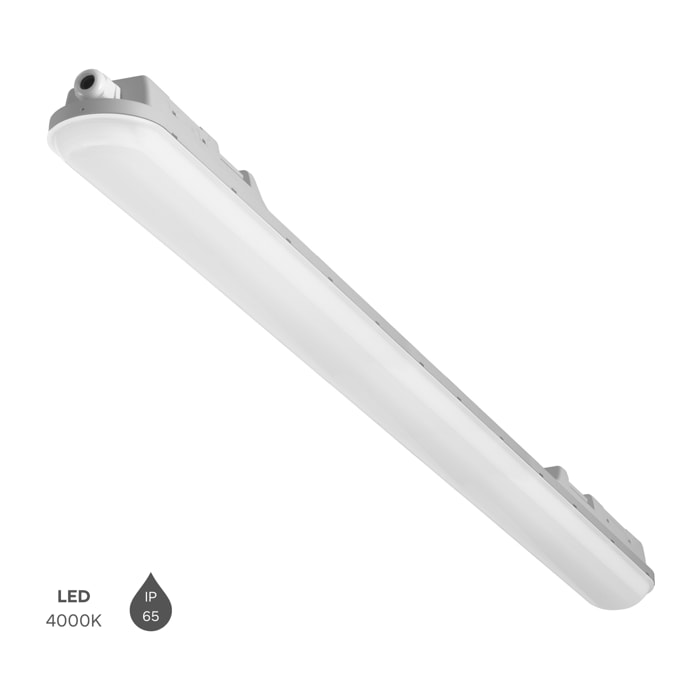 Forlight - Plafón LED Exterior 43.7W, Luz Blanca Neutra 4000K, IP65, 1460mm, Resistente al Agua y Golpes, Ideal para Porches y Garajes, Diseño Elegante y Duradero