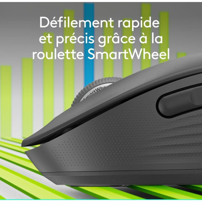 Souris sans fil LOGITECH Signature M650 L Graphite - grde taille