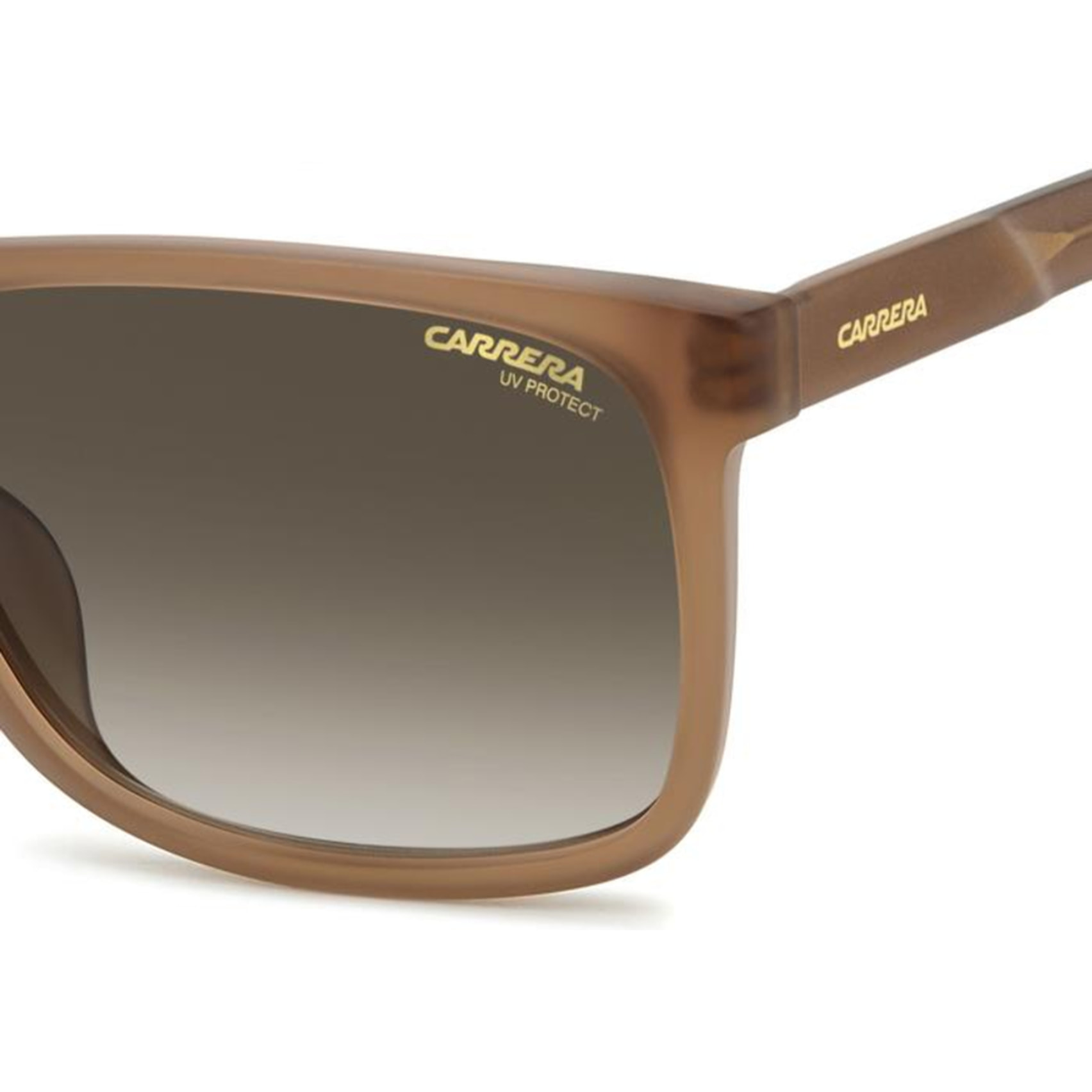 Gafas de Sol Carrera 3002/S HKZ de Acetato Mujer 55 mm