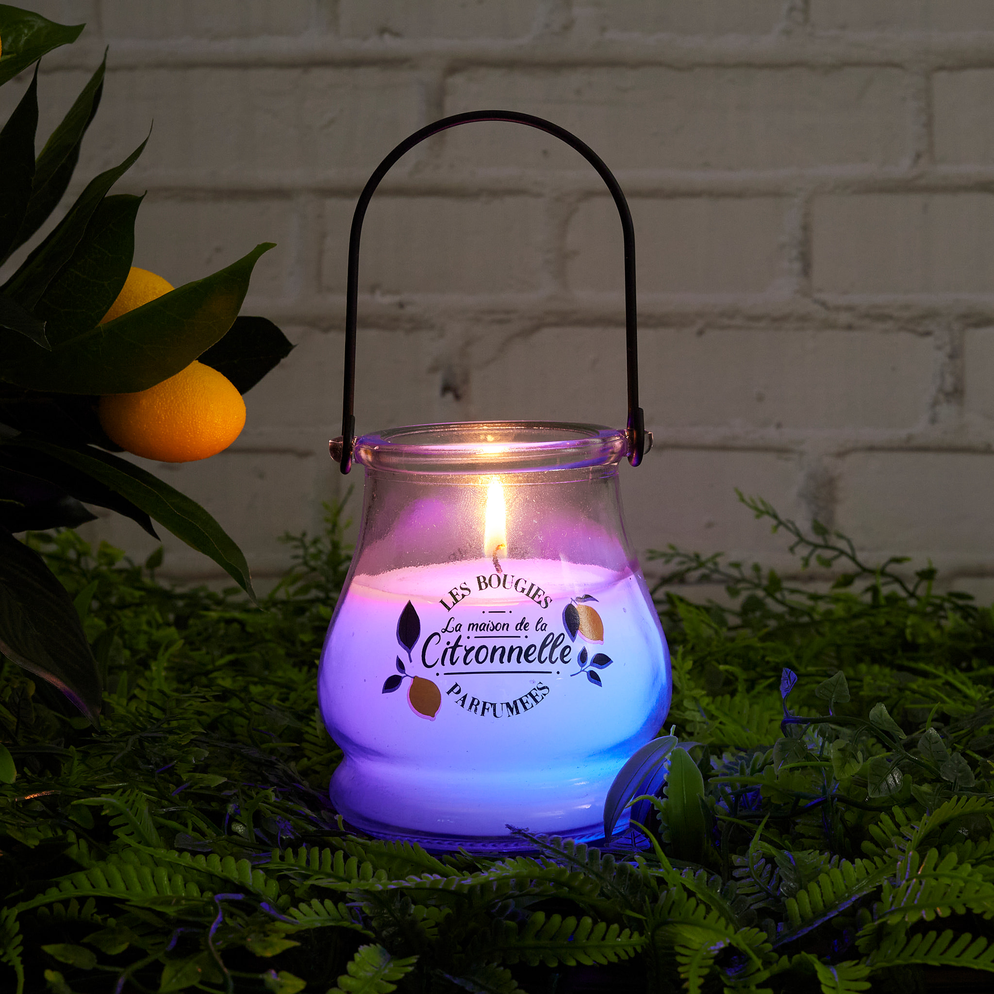 Bougie Citronnelle Couleur Changeante