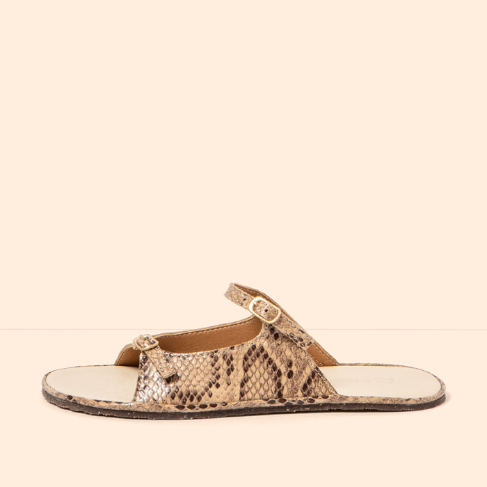 Sandalias N5684 SNAKE BEIG/ BARE SANDALS color Beig