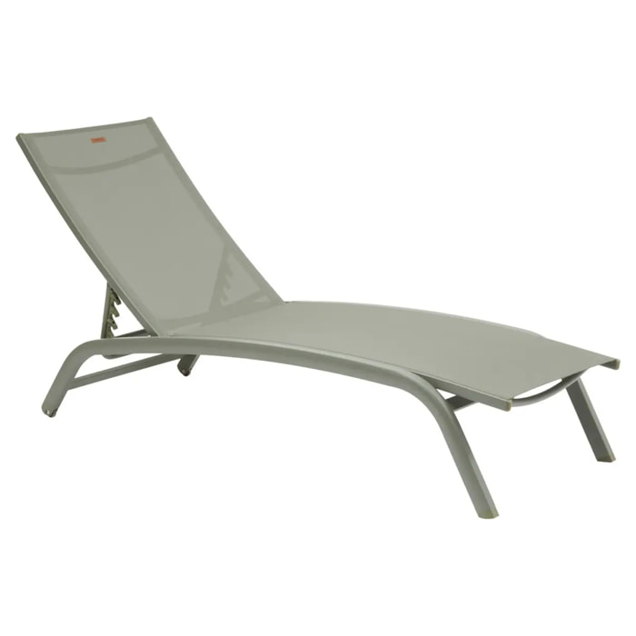 Transat Bonao vert laurier