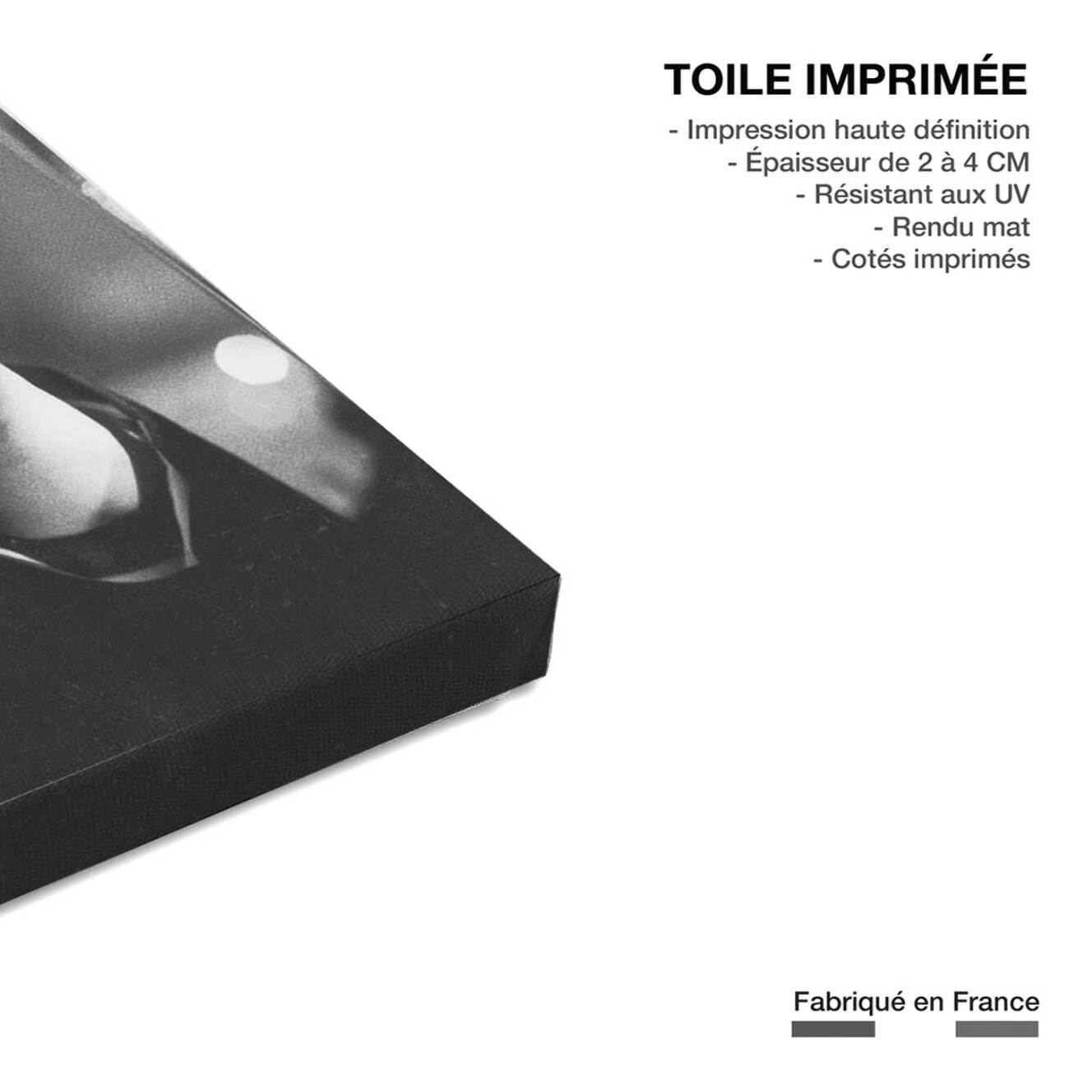 Tableau serge gainsbourg à la tv  Toile imprimée