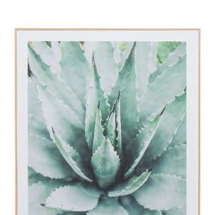 Cuadro narvani cactus 40x60cm