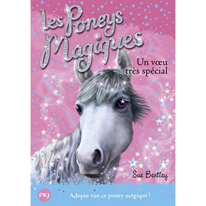Bentley, Sue | Les poneys magiques - tome 02 : Un voeu très spécial (02) | Livre d'occasion