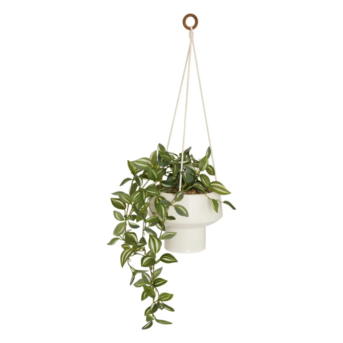 Plante suspendue Homy H.80cm