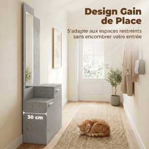 Ensemble meuble d'entrée avec meuble à chaussures abattant, vestiaire avec miroir, tiroir et plateau, gris
