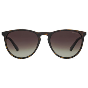 Gafas de Sol Polaroid PLD 6003/N/S V08 Polarizadas de Policarbonato Unisex 54 mm