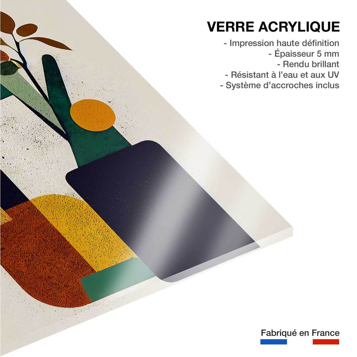 Tableau bouteille et plante  Tableau plexiglas