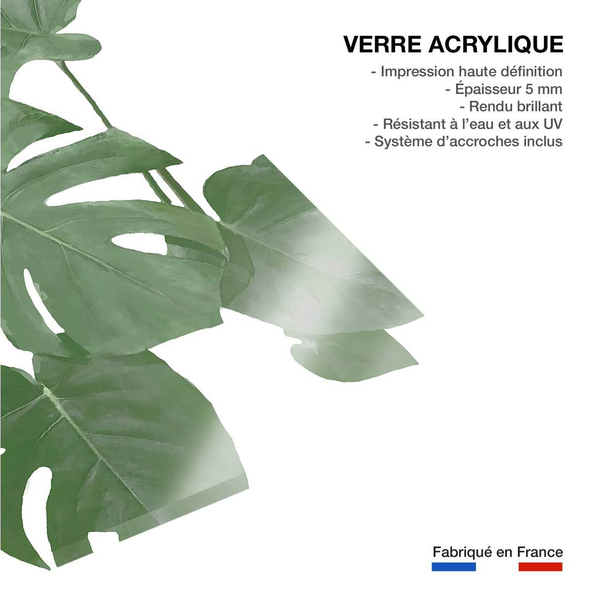 Tableau Feuilles de Monstera Tableau plexiglas