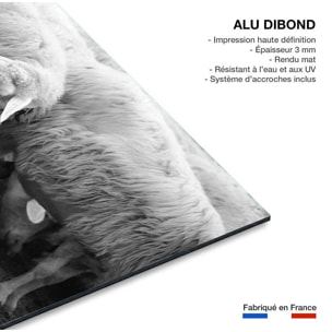 Tableau paysage chien de berger  Tableau alu Dibond